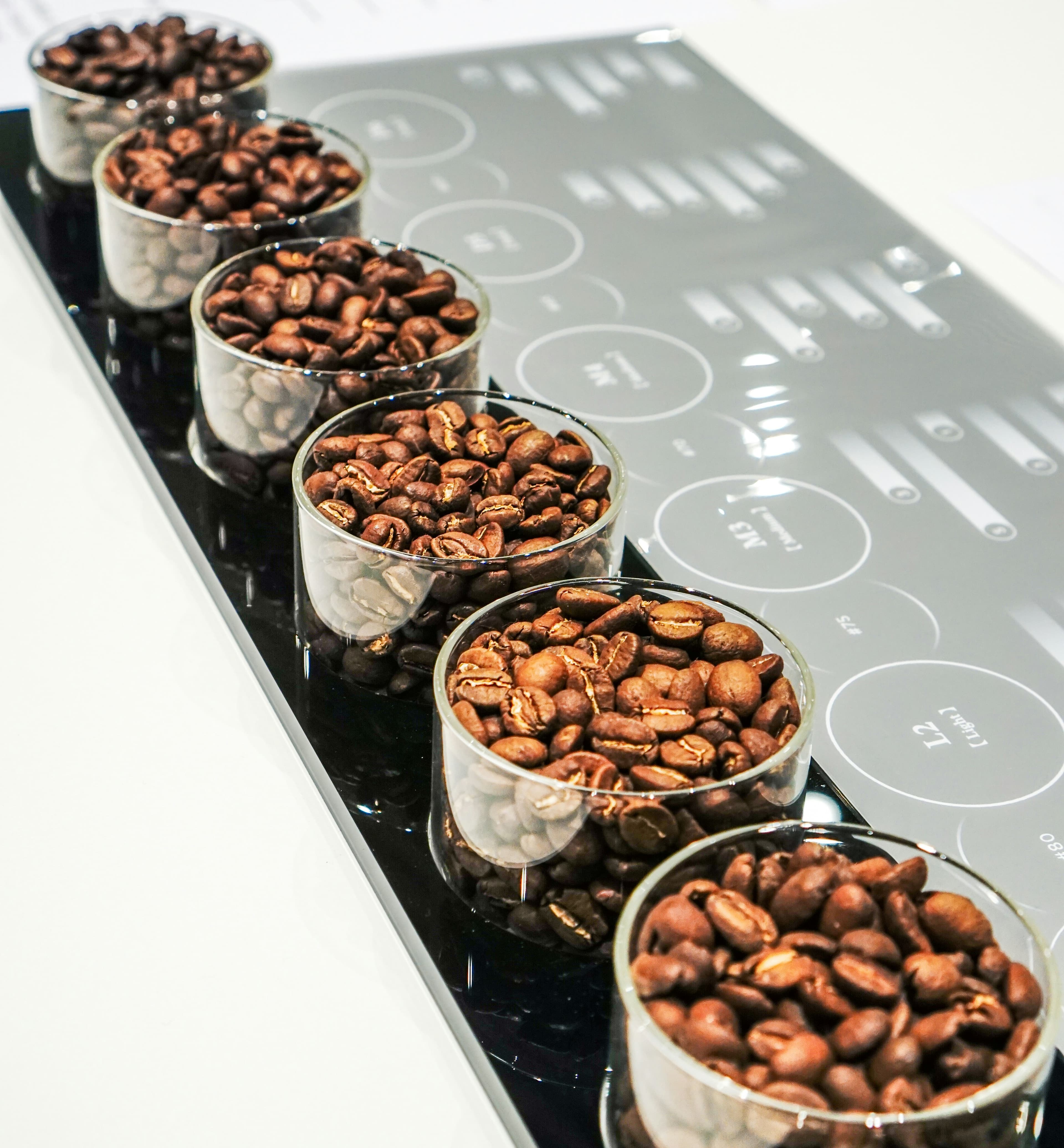 Coffee samples arranged for comparison, representing different sensory qualities and roast expressions.