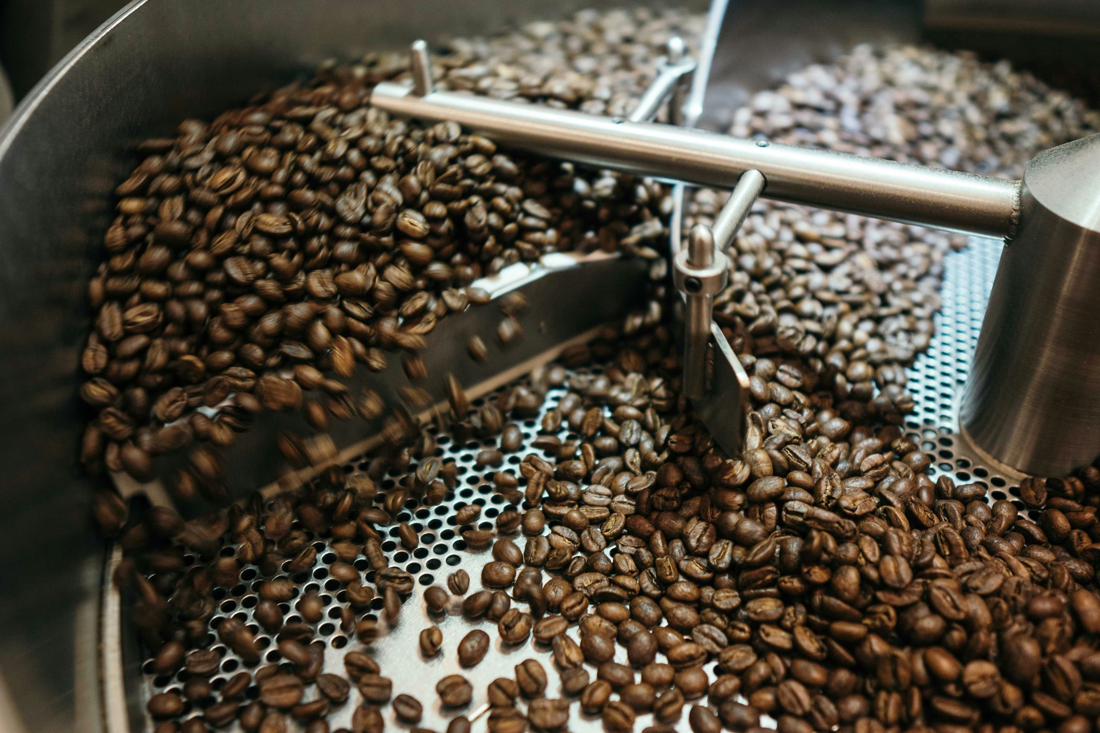 Roasted coffee beans in a roasting machine, showing how roast level changes the sensory profile of coffee.