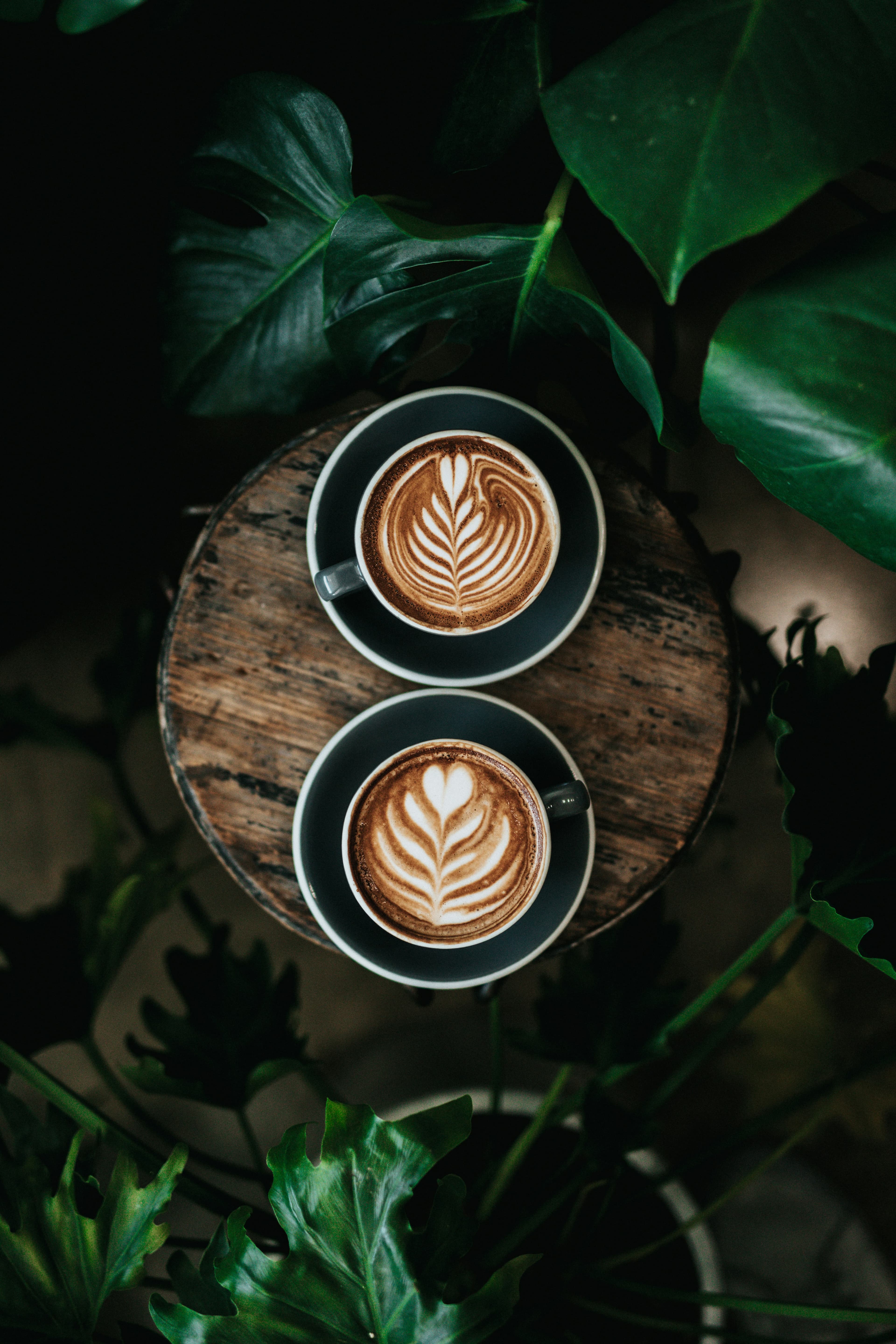 Bean Luxe at Terra Madre 2026
